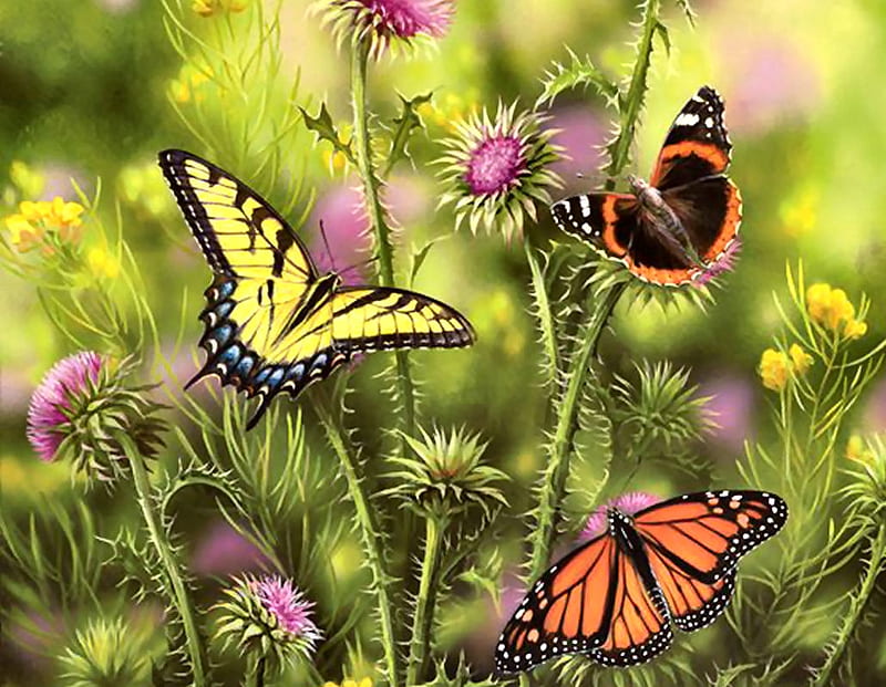 Butterflies and Thistle FC, art, swallowtail, bonito, butterflies, thistle, monarch, artwork, painting, wildlife, HD wallpaper