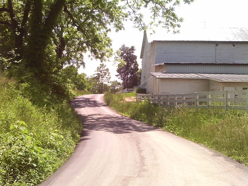 Barn in Shenandoah County, Va., tree, road, green, barn, HD wallpaper