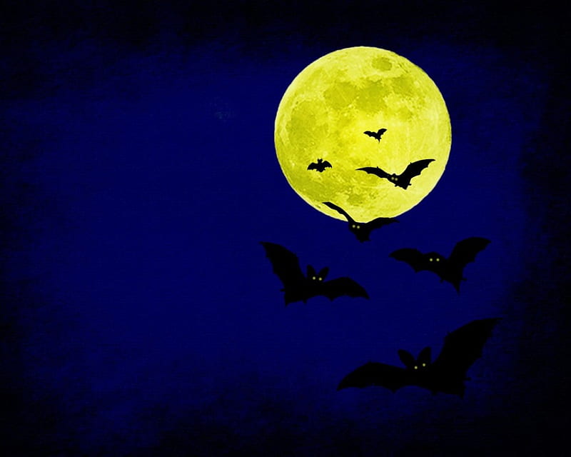 Halloween Bat, irish, halloween, scarry, moon, full moon, dark, bat, samhain, celtic, HD wallpaper