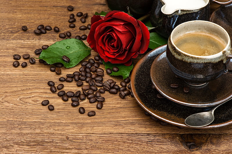 Food, Coffee, Coffee Beans, Cup, Drink, Rose, Still Life, HD wallpaper