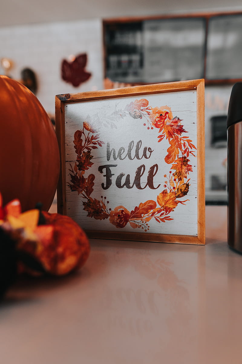 sign, inscription, pumpkin, autumn, HD phone wallpaper