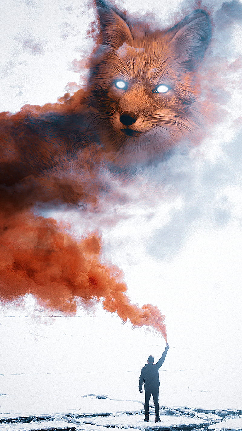 Spirit of the Fox, animal, animals, fox, imagination, mystical, red, red smoke, smoke, spirit, wild, HD phone wallpaper