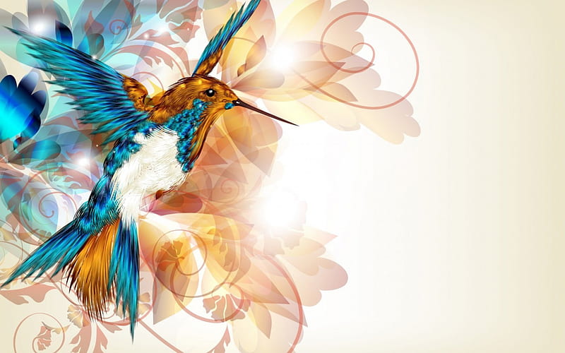 Humming-bird, art, bird, orange, white, abstract, blue, HD wallpaper