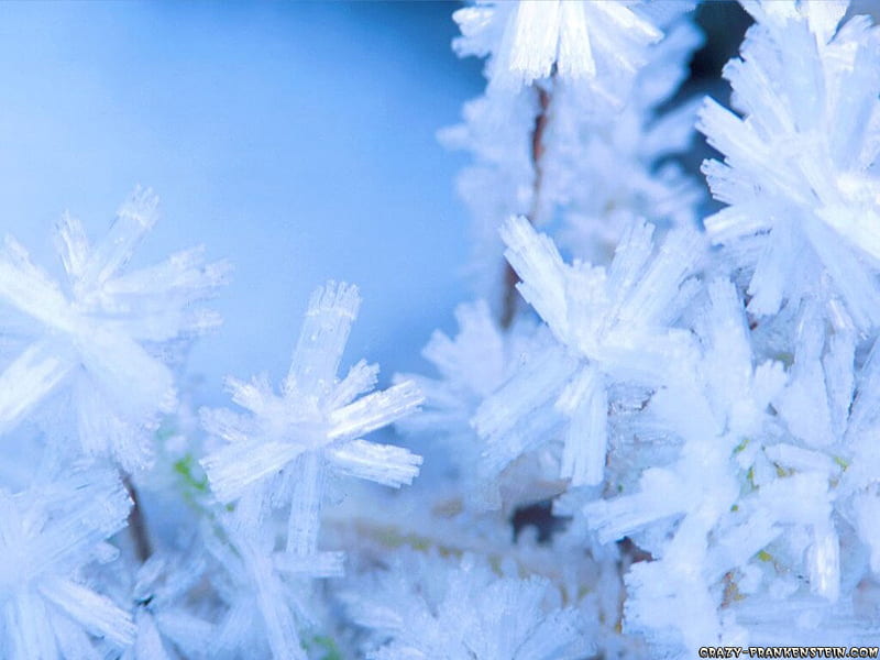 snow cristal deorations jpg, crystals, snow, blue, winter, HD wallpaper