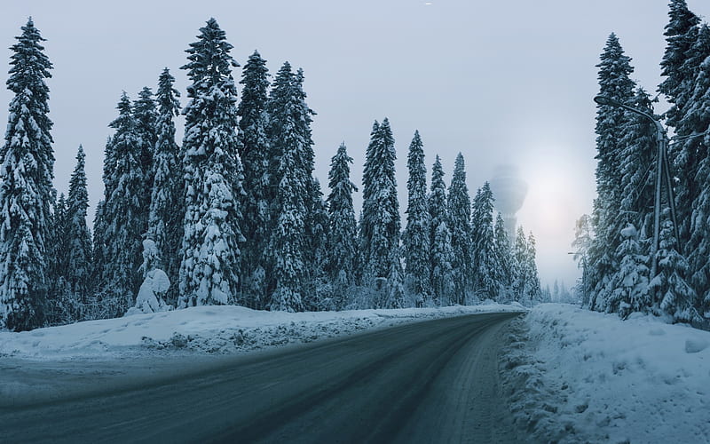 winter landscape, road, forest, snow, fog, tree, winter, HD wallpaper