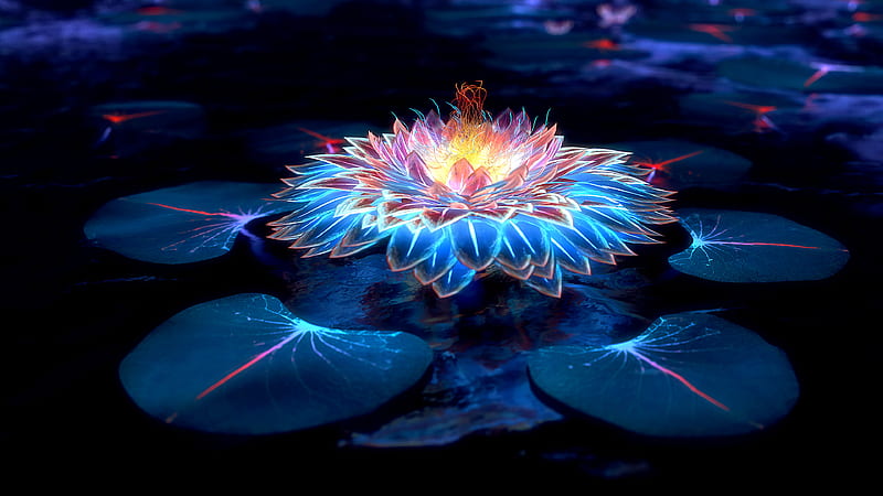 Lotus, fantasy, luminos, black, flower, abstract, leaf, blue, digital, HD wallpaper