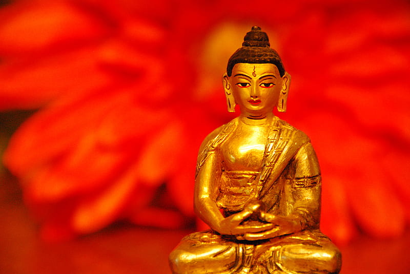 Buddha, still life, little, statue, golden buddha, red flower, HD wallpaper  | Peakpx