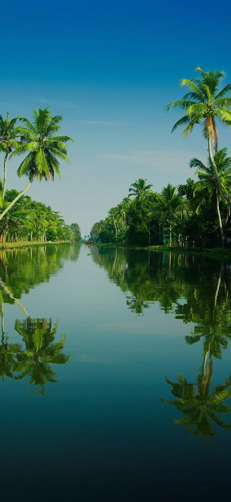 Kerala, river, india, nature, HD phone wallpaper | Peakpx