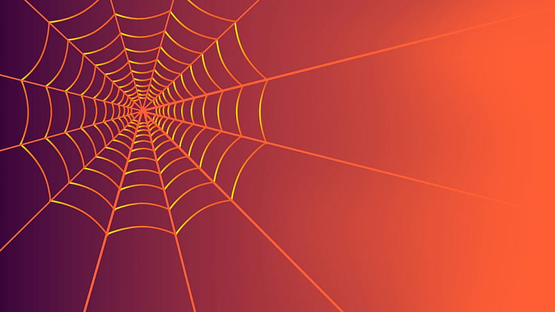Spider's web, monicore, orange, spider web, halloween, texture, HD wallpaper