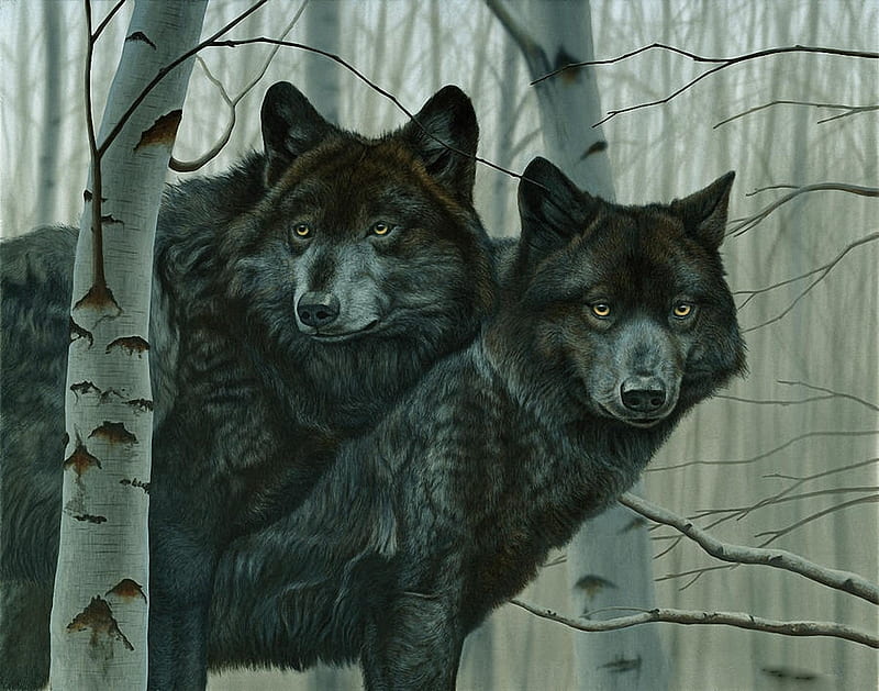 Lobos negros, negro, árboles, lobos, animales, Fondo de pantalla HD | Peakpx