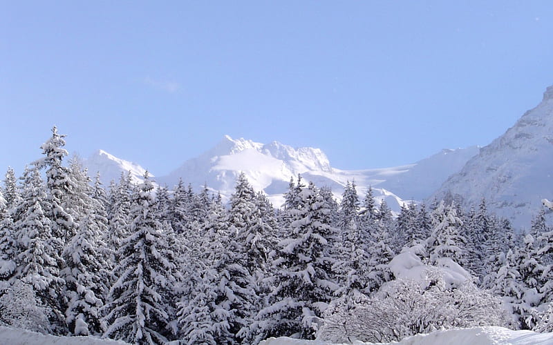 Under the snow, bonito, cold, mountain, graphy, nice, beauty, alps, sky ...