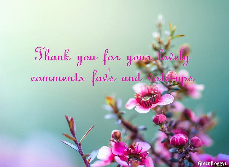 THANK YOU COMMENT CARD, YOU, COMMENT, CARD, THANK, HD wallpaper | Peakpx