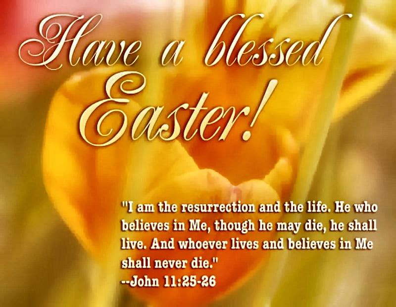 HD easter quotes wallpapers | Peakpx