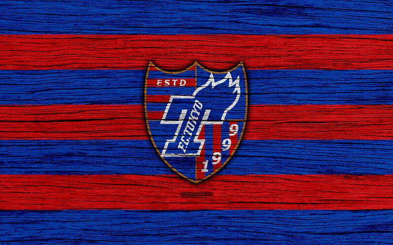 FC Tokyo emblem, J-League, wooden texture, japan, Tokyo FC, soccer, football club, logo, HD wallpaper