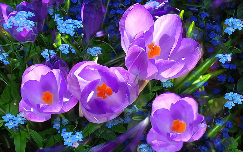 Crocus, poster, art, spring, crosus, purple, painting, flower, pink, HD ...