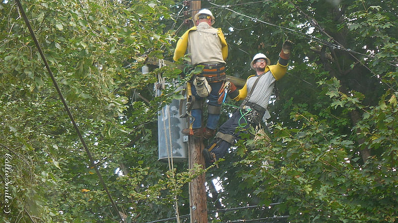 Get That Wire!, men working, utility pole, power pole, work, wire, wires, HD wallpaper
