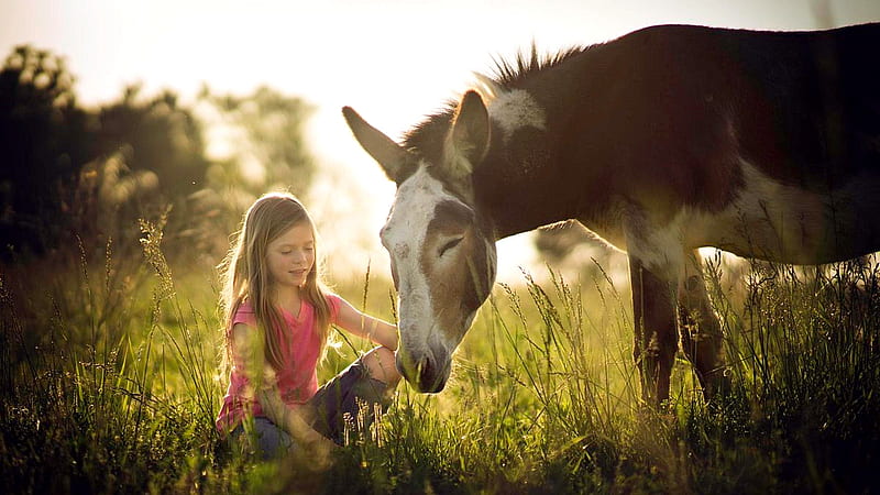 Cowgirl Memories . ., female, cowgirl, ranch, children, fun, outdoors, brunettes, mule, western, style, HD wallpaper