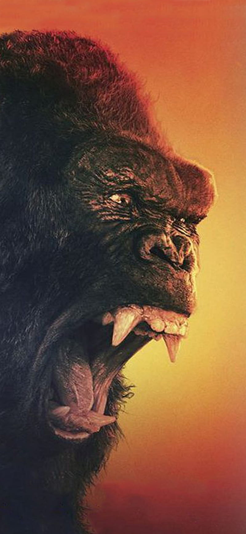 King Kong, animation, fight, film, godzilla, godzilla vs king, hollywood,  kingkong, HD phone wallpaper | Peakpx