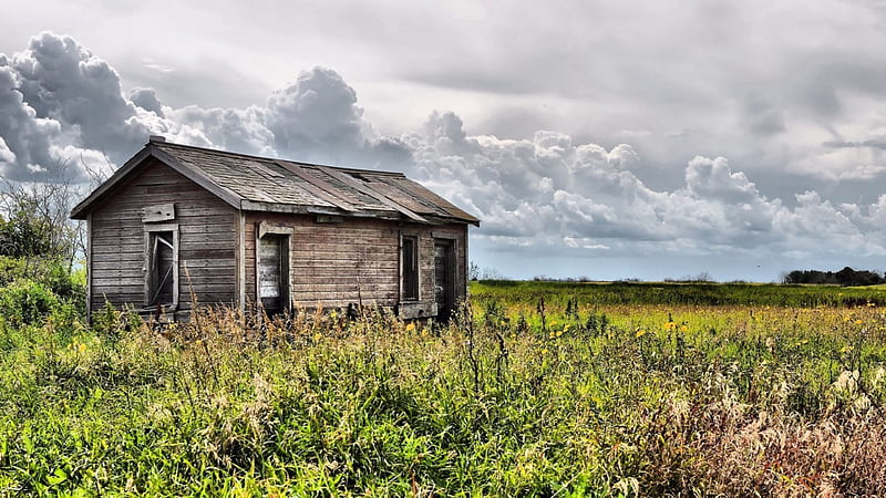 abandoned cabin in overgrown grass field, overgrown, fields, cabin, clouds, abandoned, HD wallpaper