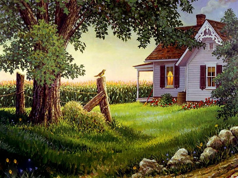 Country Life (For Jen), fence, rocks, house, trees, yard, wren, bird, flowers, cornfield, field, HD wallpaper