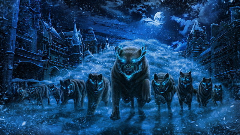The pack, moon, luminos, evil, fantasy, moon, wolf, pack, blue, night, HD wallpaper