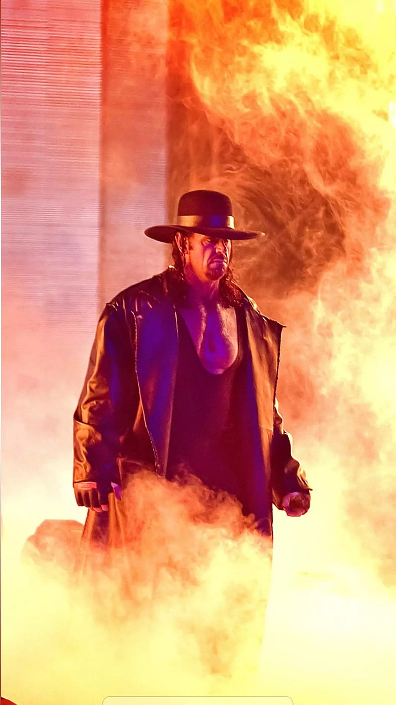 Undertaker, hall of fame, wrestling, wwe, HD phone wallpaper