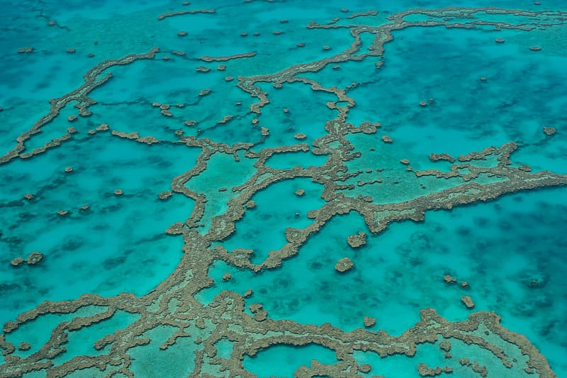 Reefs, ocean, water, aerial view, bottom, HD wallpaper | Peakpx