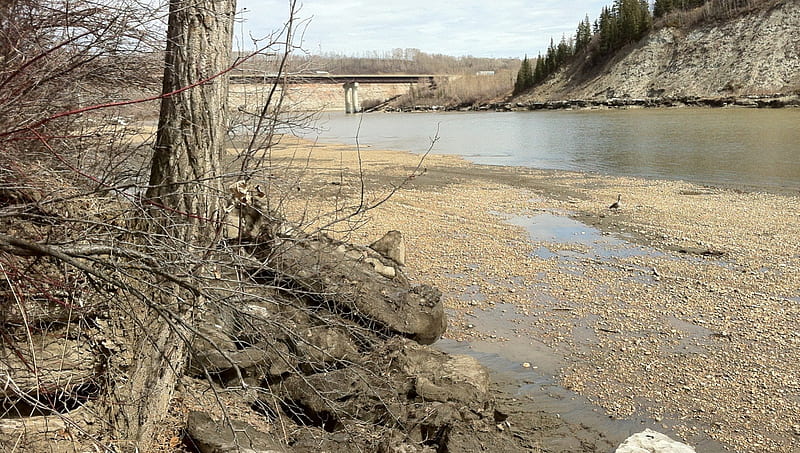 North Saskatchewan River in the Spring, Alberta, river, spring, Devon, HD wallpaper