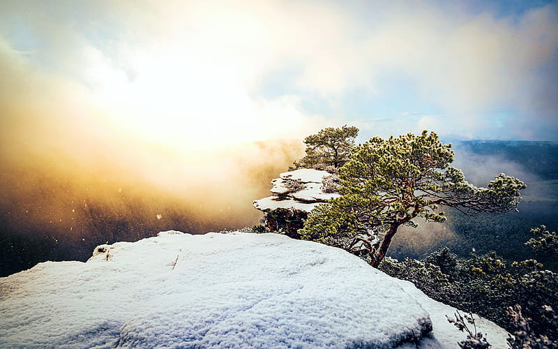 Palatinate Forest, Germany, snow, trees, sky, rock, mountains, sunrise, HD wallpaper