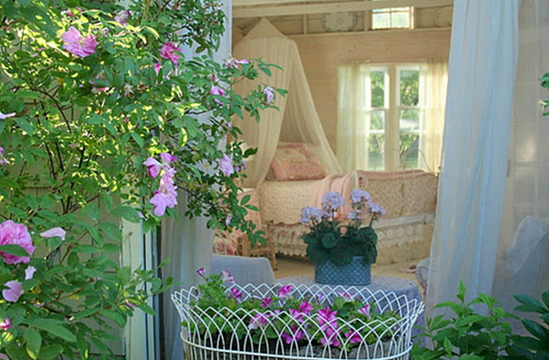 view from garden, garden, flowers, house, plants, HD wallpaper