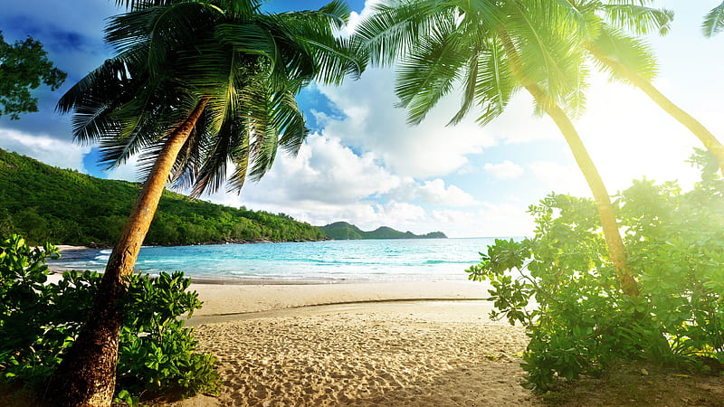 Palm Trees On Beach Sand And Landscape View Trees Covered Mountains In The Middle Of Sea With Sunbeam Beach, HD wallpaper