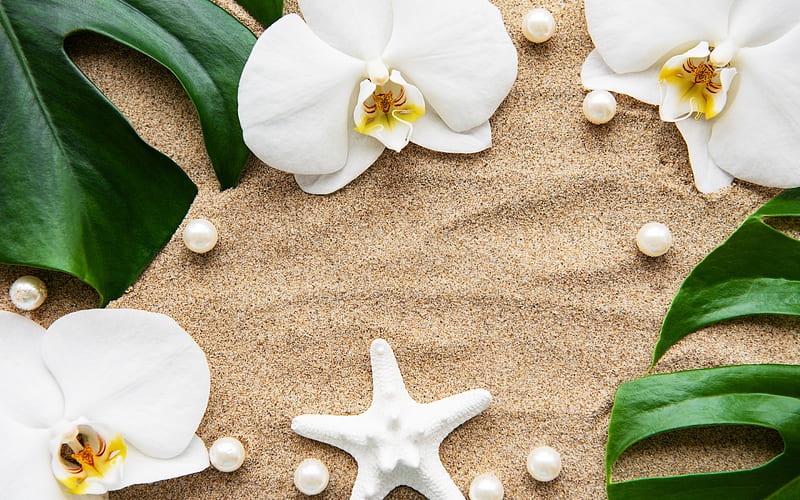 white orchids, sand, summer travel, sand background, beautiful white flowers, HD wallpaper