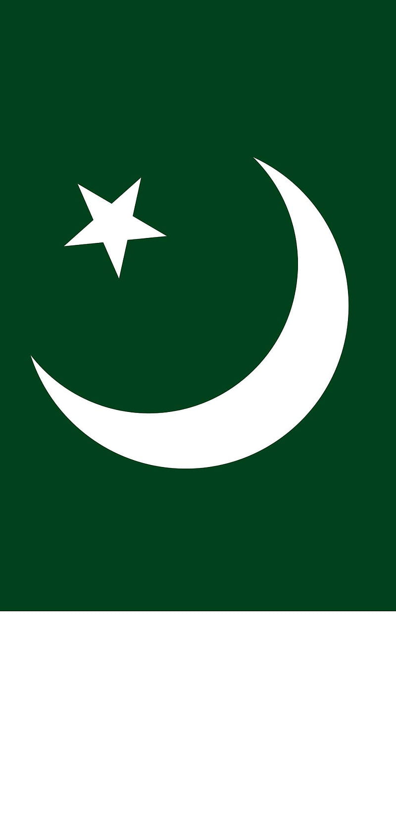 Pakistan Flag, flag, green, logo, pak, gold, flags, HD phone wallpaper |  Peakpx
