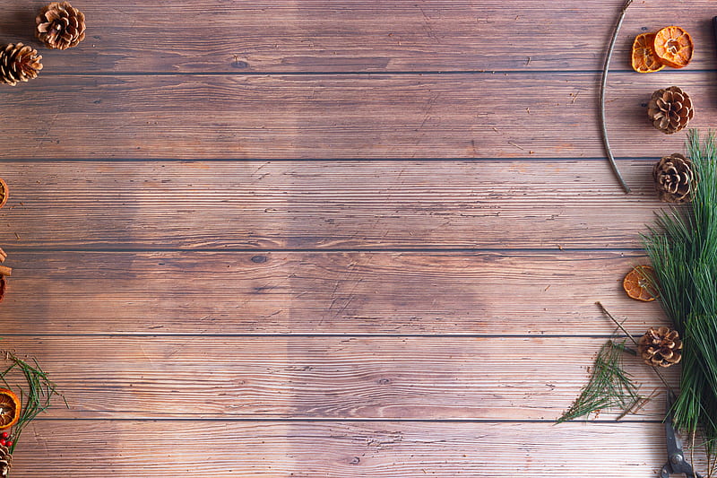 Green leaf on brown wooden floor, HD wallpaper | Peakpx