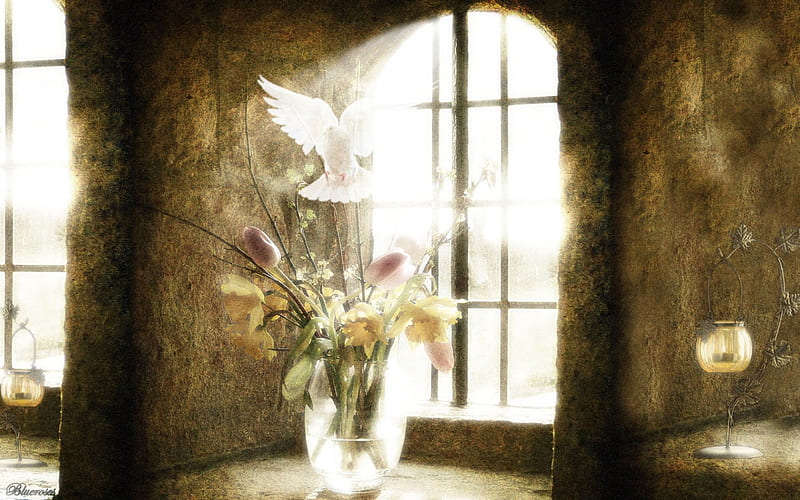 *The Holy Spirit and the Light of God*, arrangements, window, the light, vase, candles, candlesticks, of God, flowers, dove, white, holy spirit, HD wallpaper