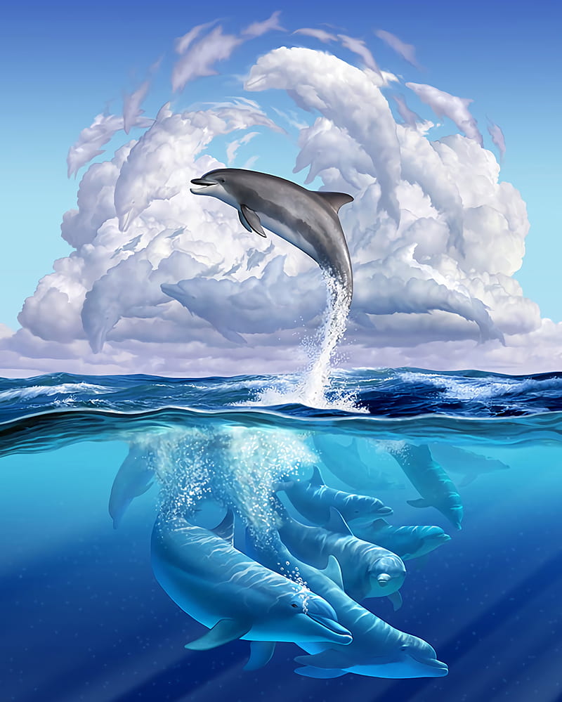 dolphin, funny, underwater world, art, HD phone wallpaper