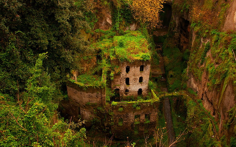 The Old Castle in Gorge, building, rustic, mountains, plants, nature, ruin, HD wallpaper