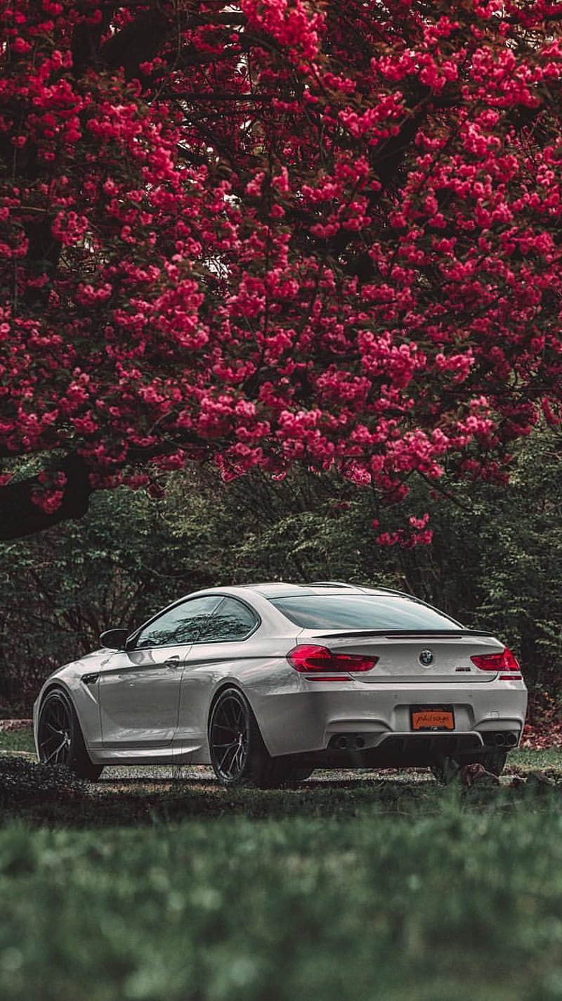 Bmw M6 Car Coupe F13 M Power Vehicle White Hd Mobile Wallpaper Peakpx
