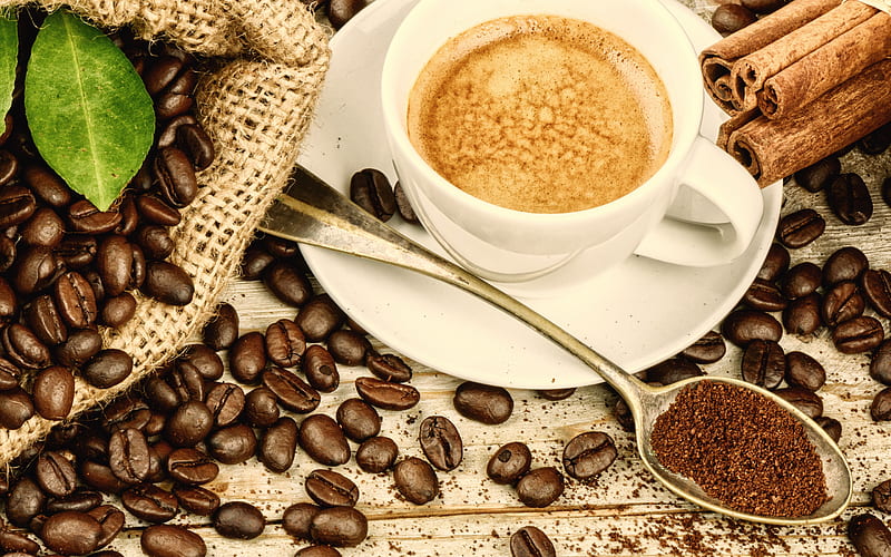 cappuccino, coffee concepts, coffee beans, cinnamon sticks, coffee cup, HD wallpaper