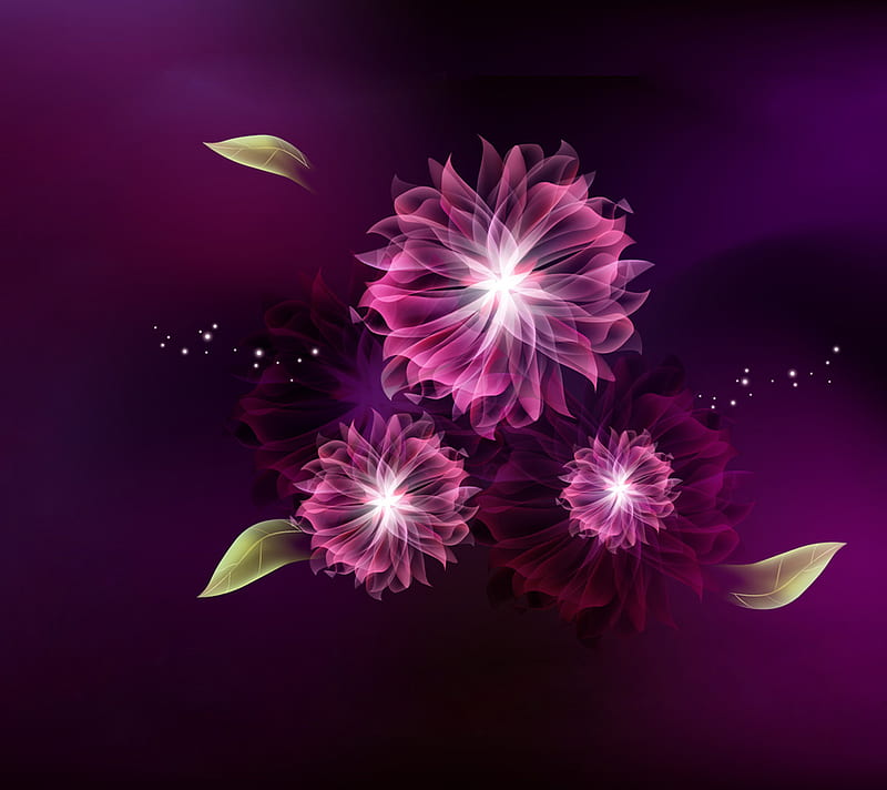 PURPLE DAISY ABSTRACTS, daisies, purple, abstract, form, HD wallpaper