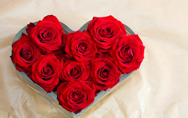 Heart of red roses, Valentines Day, bouquet of red roses, red roses heart, roses, HD wallpaper