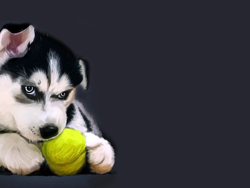 Husky playing with ball, ball, puppy, dog, play, sweet, animall, HD wallpaper