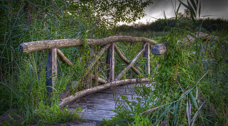 lovely little wooden bridge r, bridge, grass, r, rails, wooden, HD wallpaper