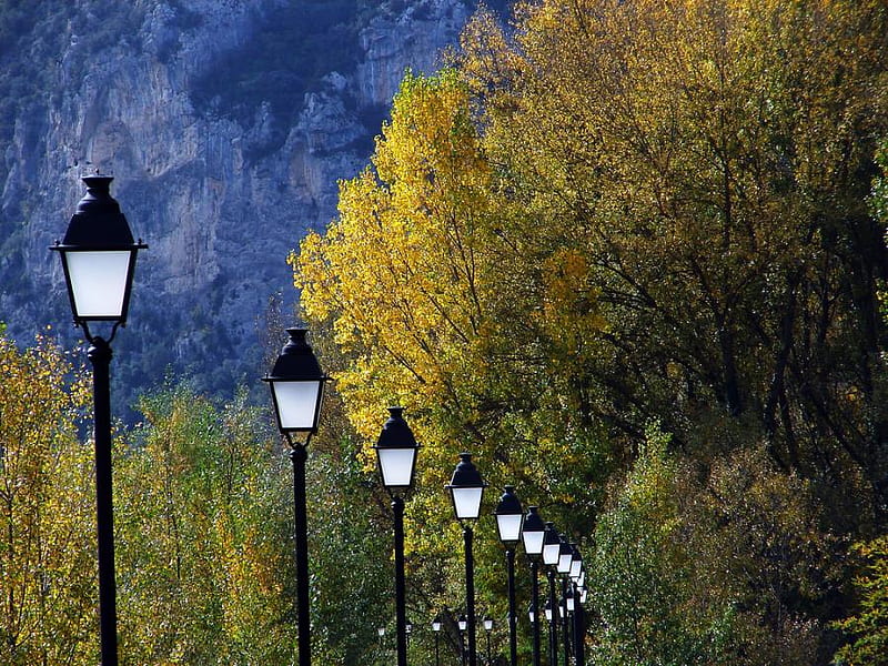 lights, row, lamps, nature, park, HD wallpaper
