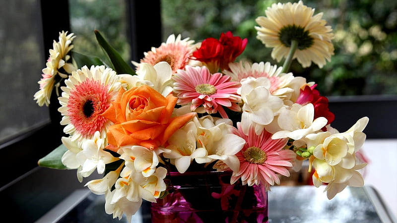 Gerbera sia Composition, sia, bouquets, gerbera, flowers, vase, nature, roses, HD wallpaper