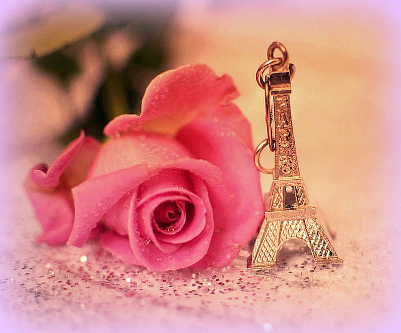 ✫Romantic Paris✫, softness beauty, bonito, still life, graphy, Paris, cut flower, pink, magnificent, Love, lovely, romantic, love four seasons, creative pre-made, Eiffel Tower, pink rose, stars sparkling, beloved valentines, HD wallpaper