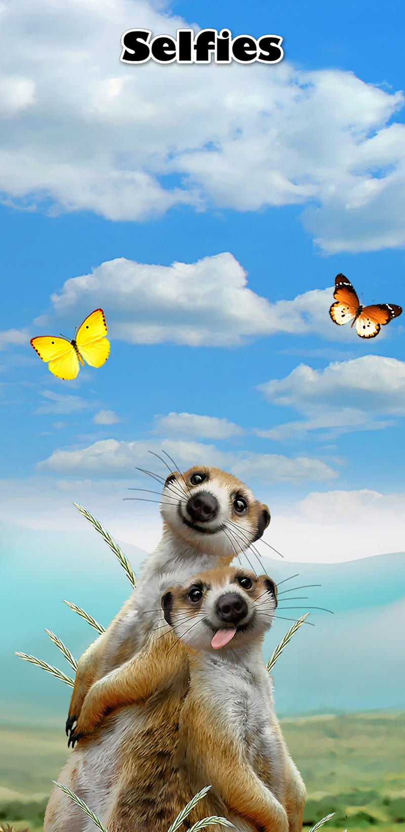 Ferret Selfie, animal, animals, cute, funny, HD phone wallpaper