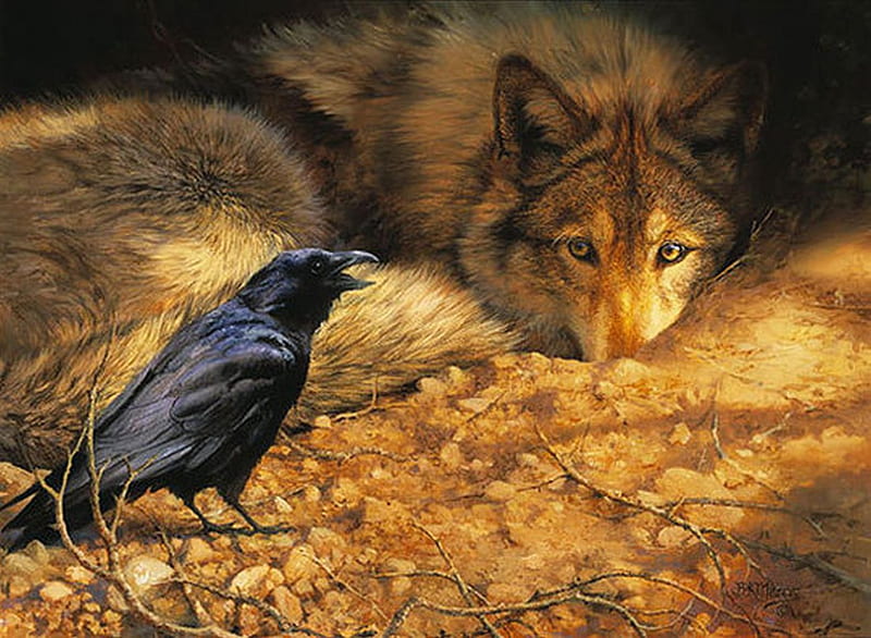 Friendship, raven, painting, wolf, animals, HD wallpaper