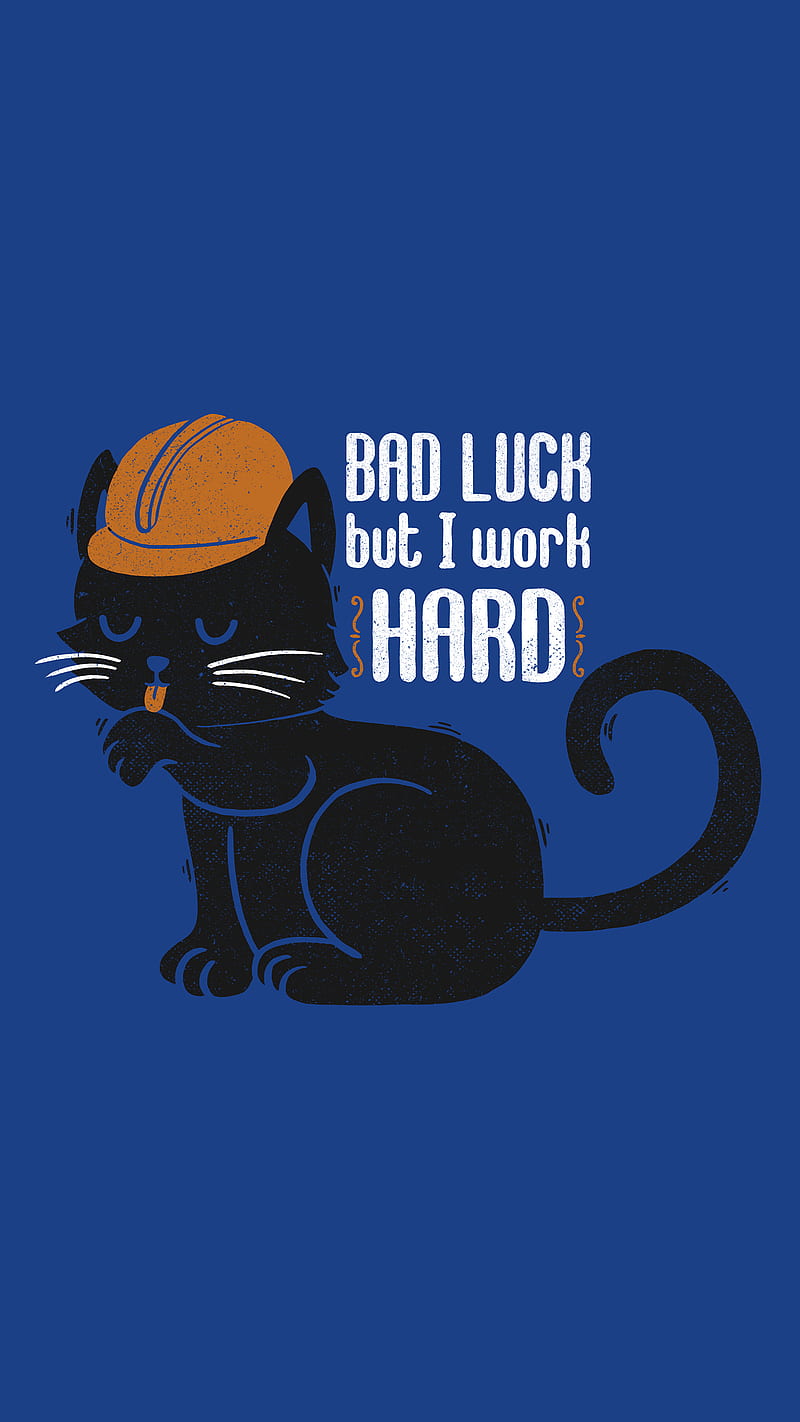 Bad Luck But I Work, Animals, Bad-luck, Cats, Cool, Humor, Kitten, Kitty,  Quotes, HD phone wallpaper | Peakpx