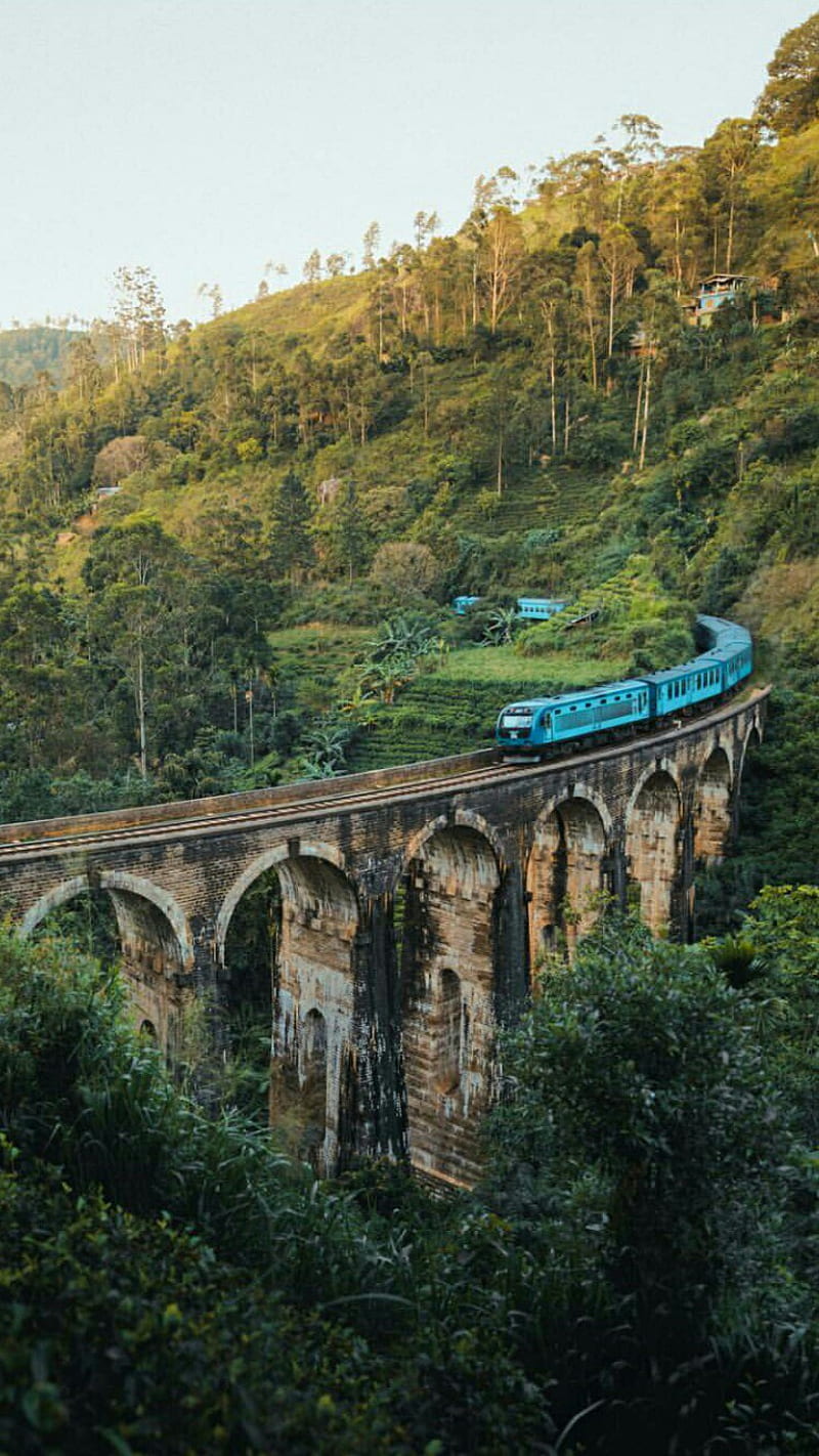 Romantic train, scotland, bridge, blue, green, sun, HD phone wallpaper